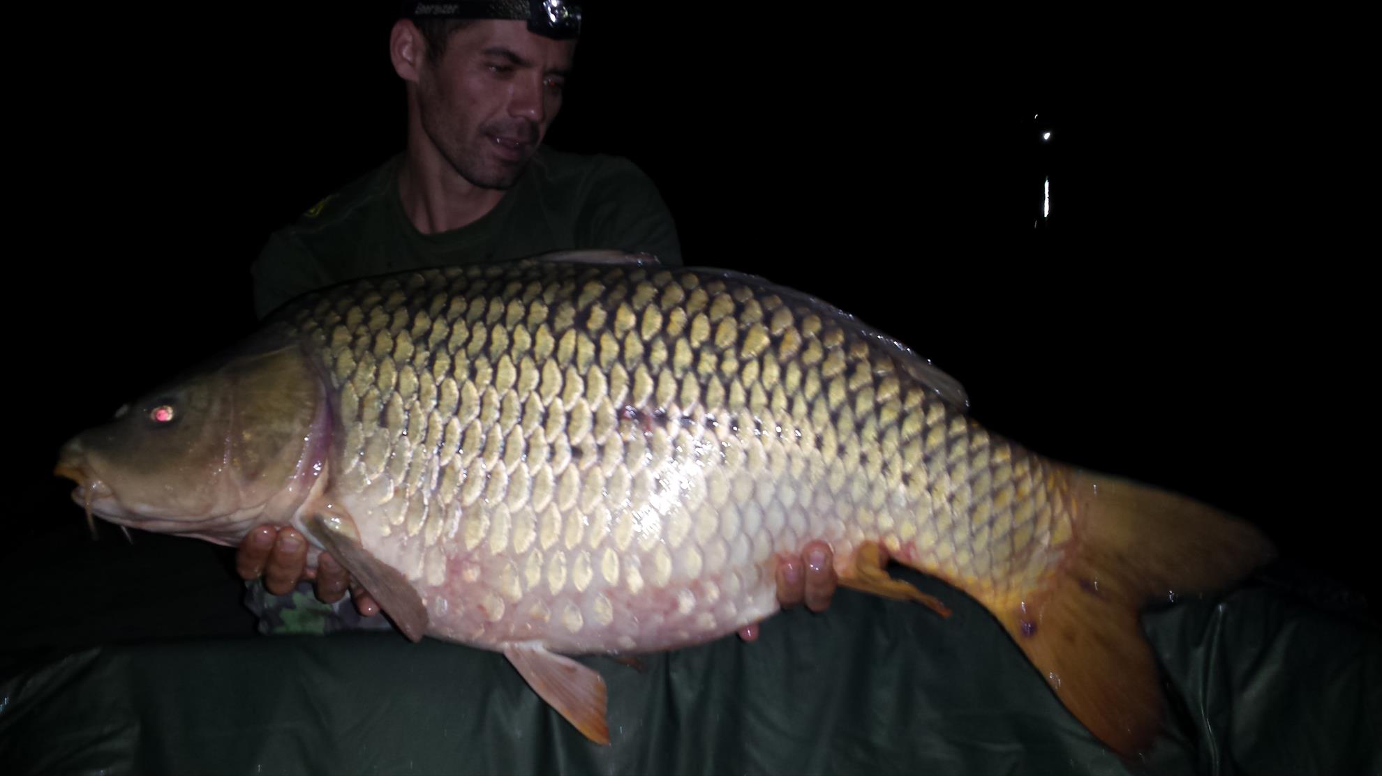 Moara Vlasiei 2 28 - 29 august 2015 - 201508290054121.jpg